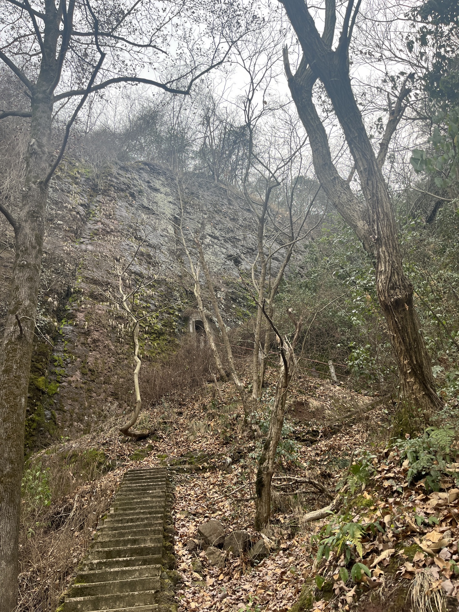三都胜境旅行图片 3