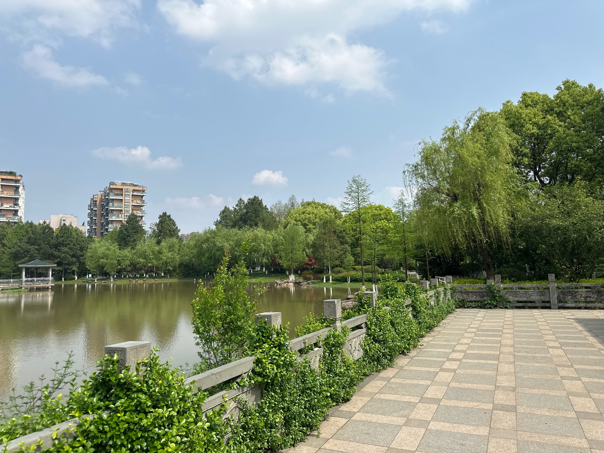 雪峰公园旅行图片 2