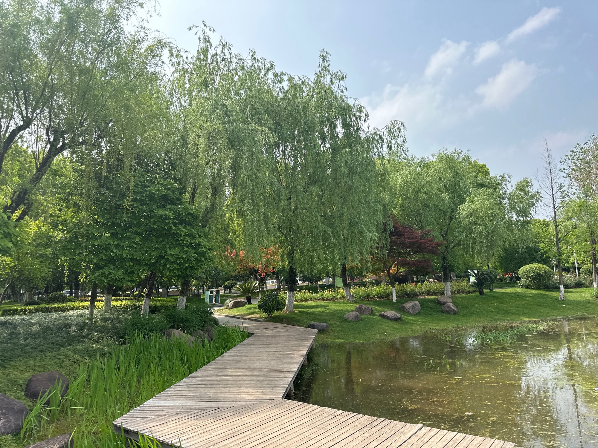 雪峰公园旅行图片 3