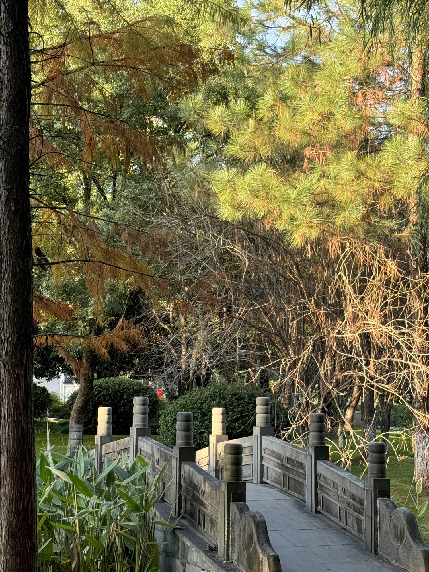 雪峰公园旅行图片 2