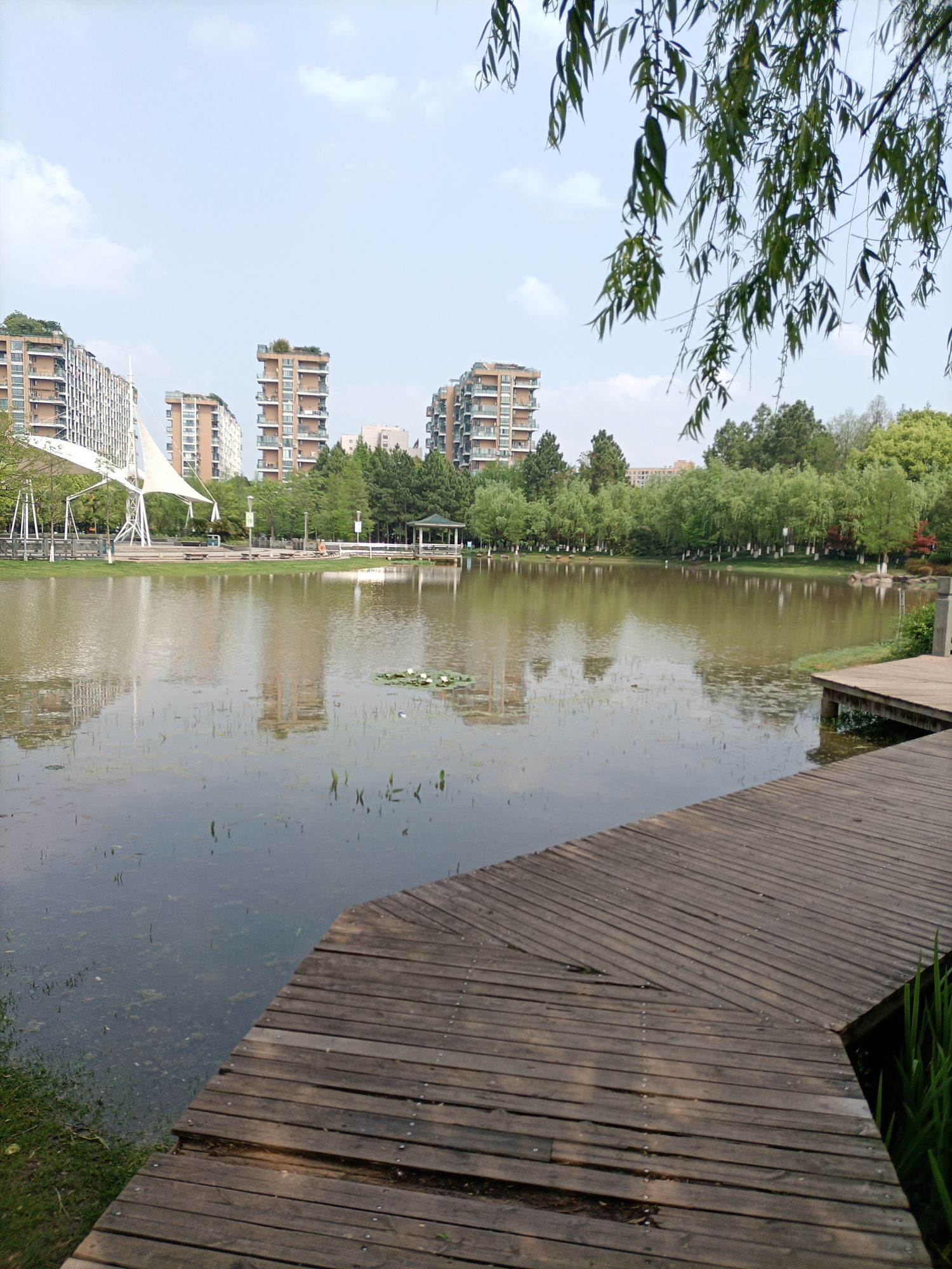 雪峰公园旅行图片 3