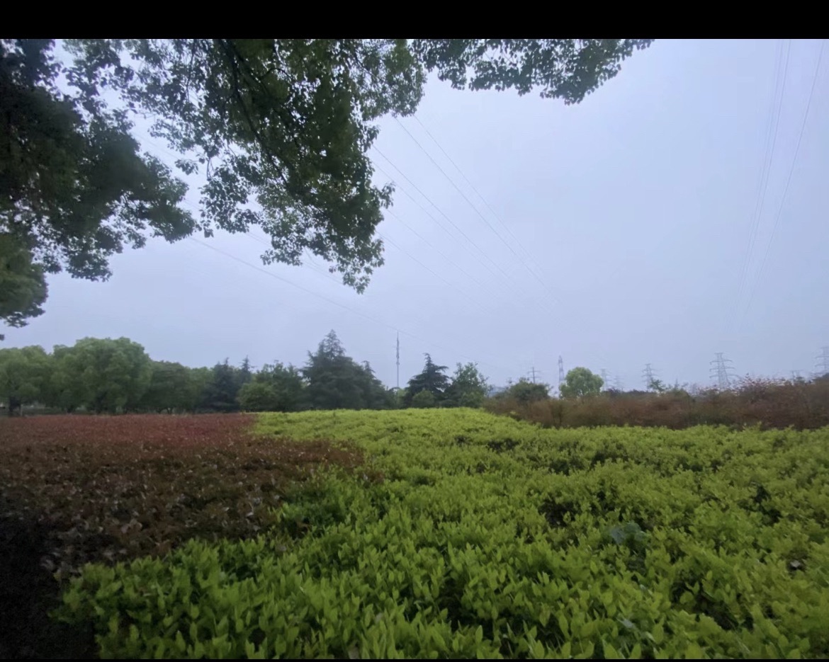 雪峰公园旅行图片 1