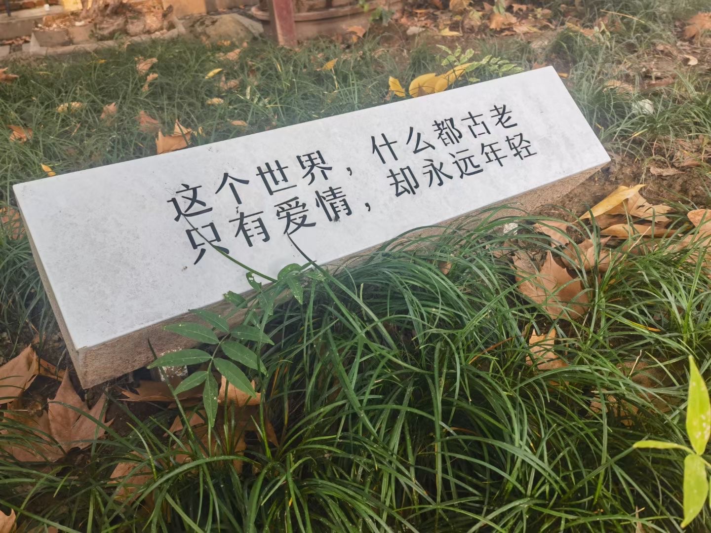 艾青故里旅行图片 1