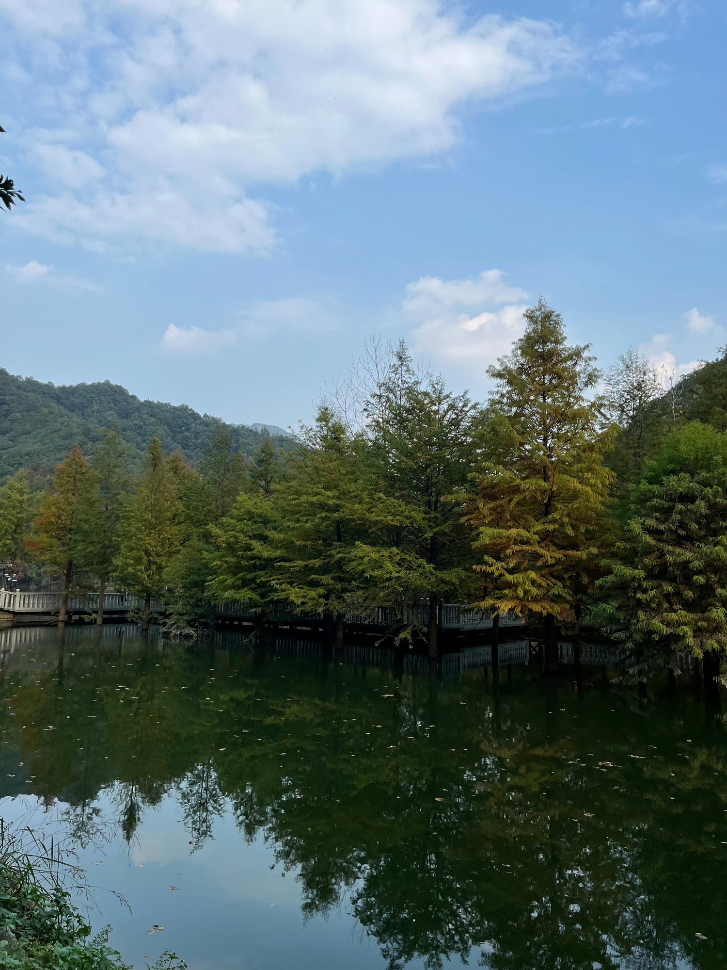 神丽峡风景区旅行图片 1