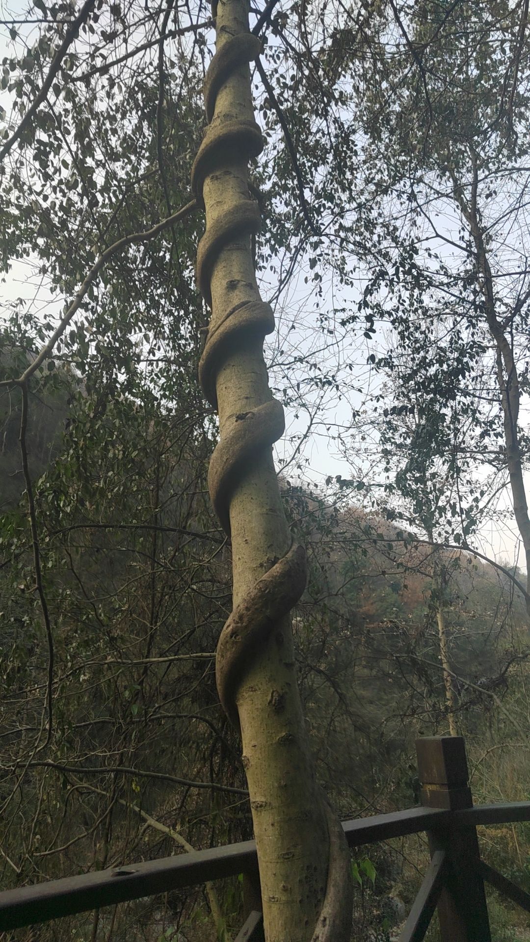 神丽峡风景区旅行图片 3