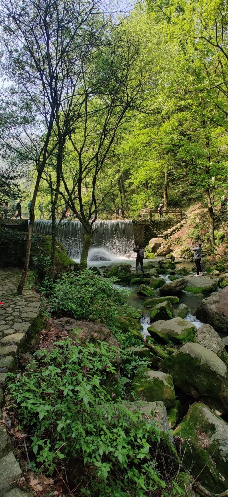 神丽峡风景区旅行图片 2