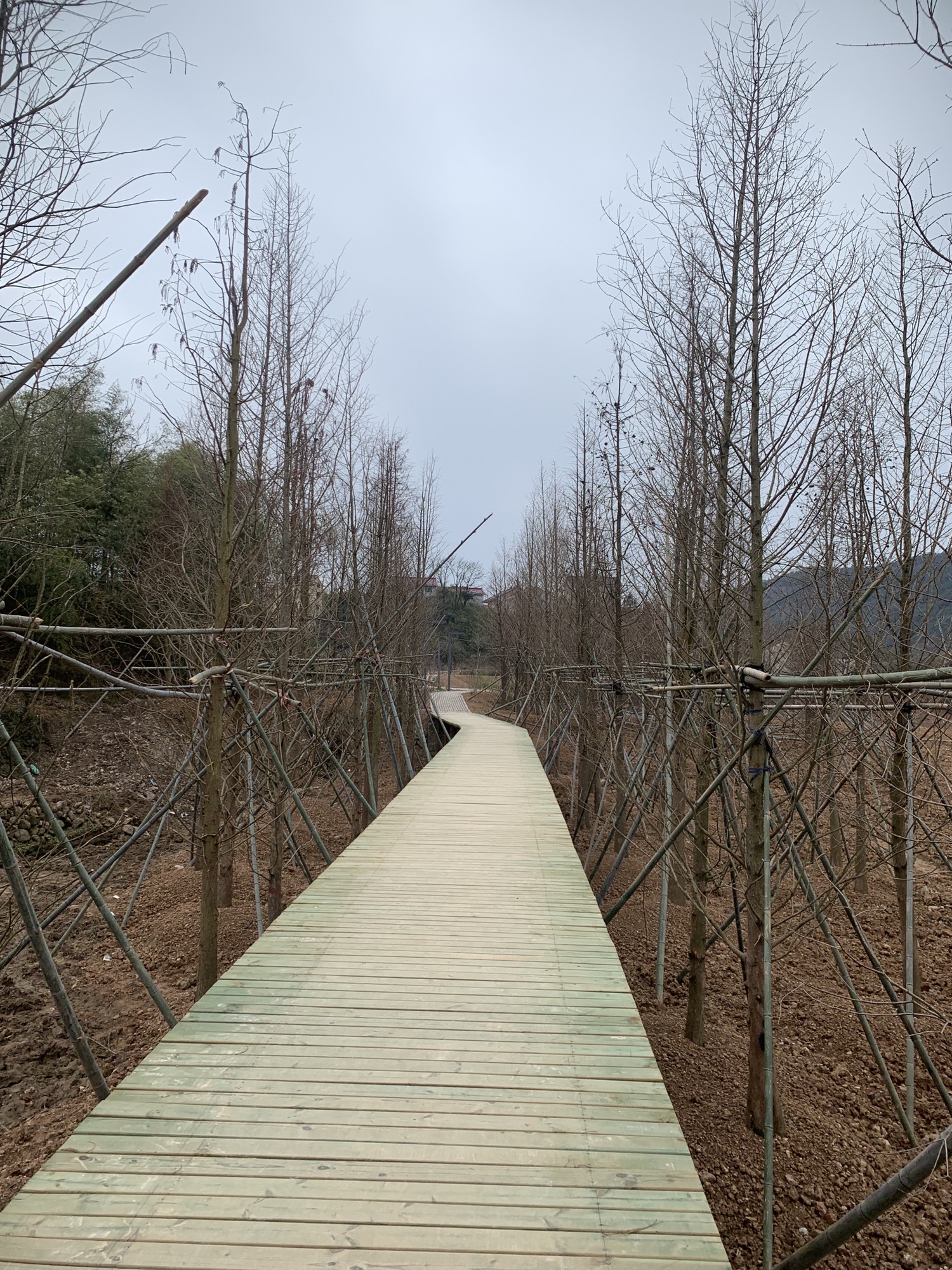 横溪城头风景区旅行图片 2