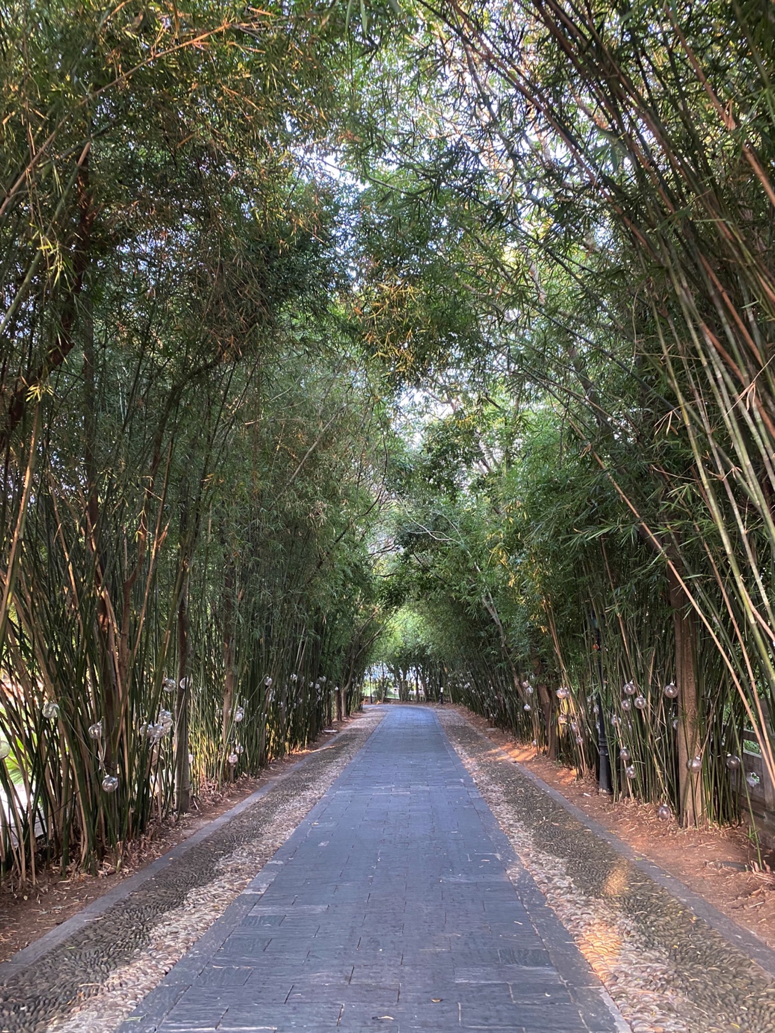 黄宾虹公园旅行图片 1