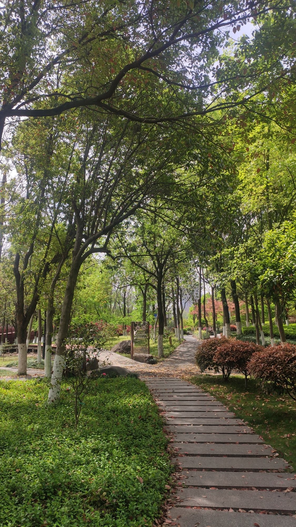 八咏公园旅行图片 1