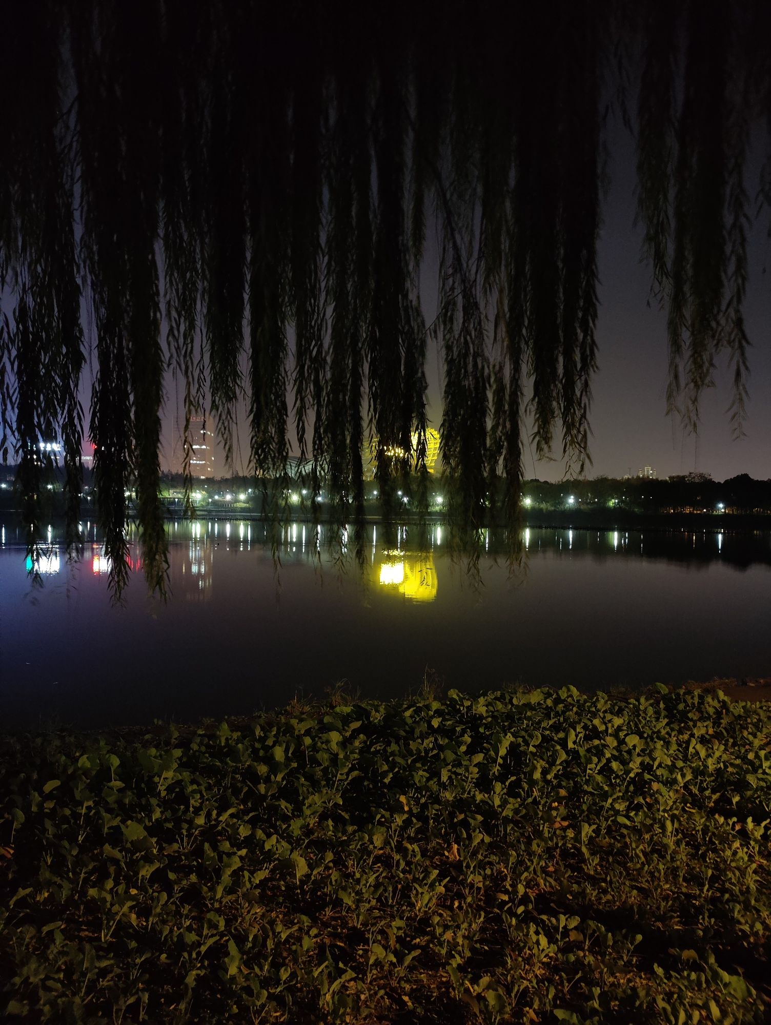 八咏公园旅行图片 1
