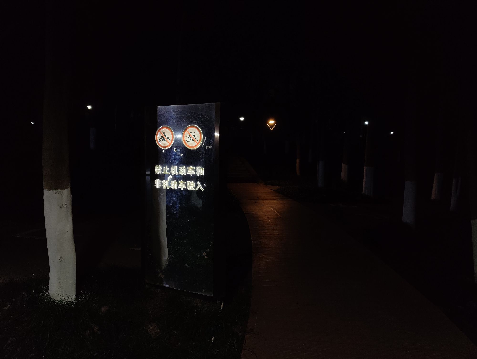 八咏公园旅行图片 3