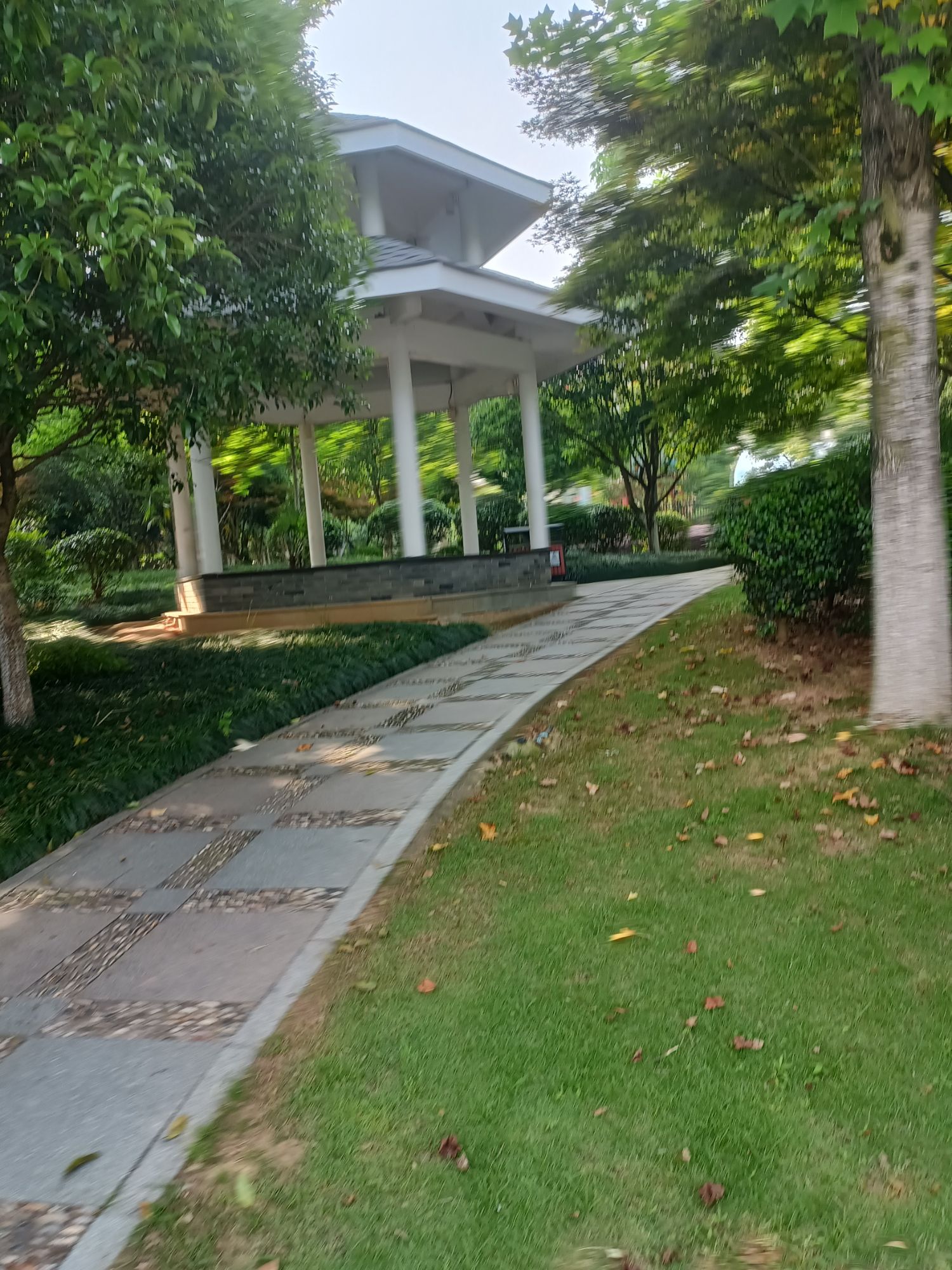 清风公园旅行图片 3
