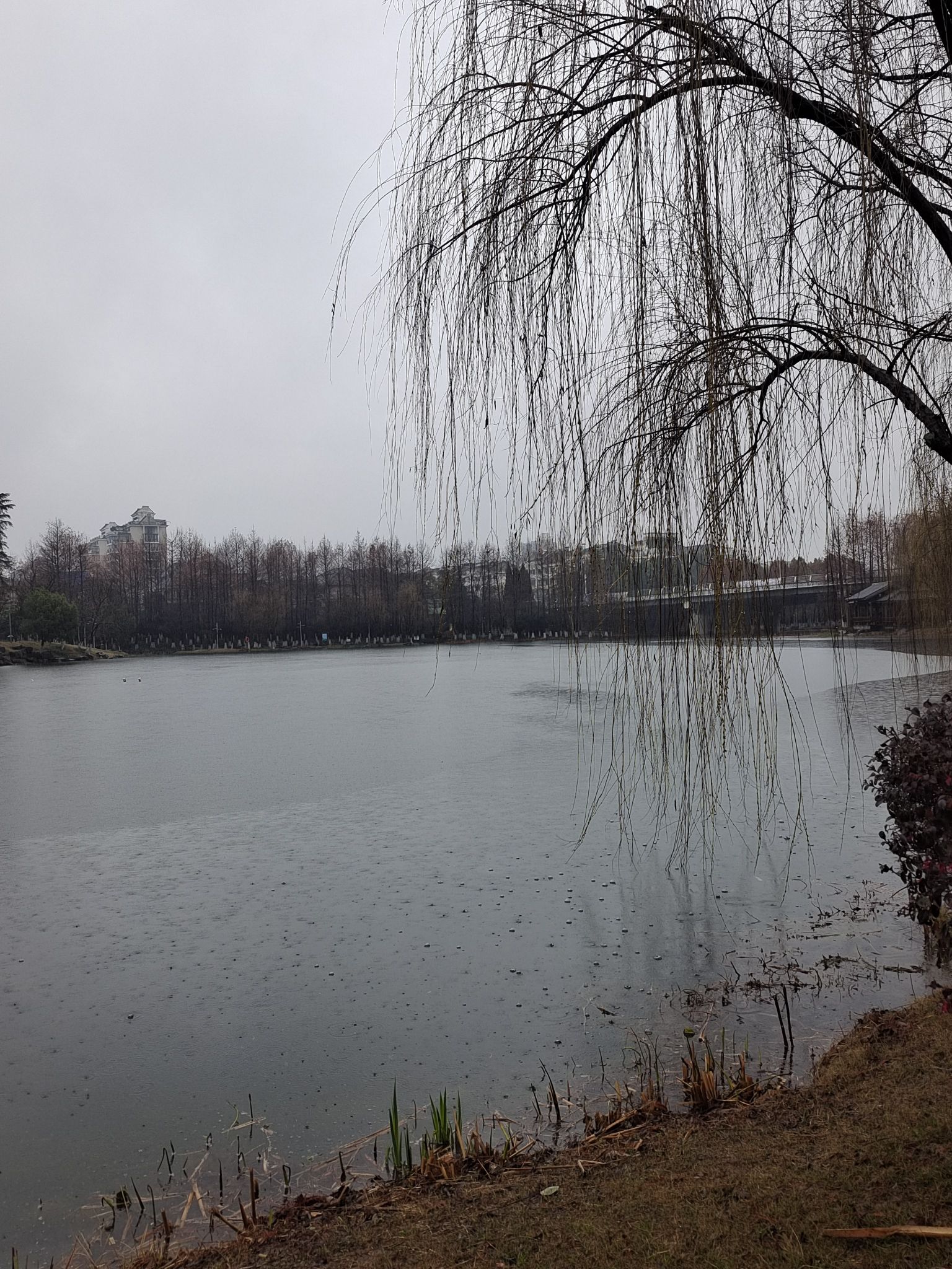 丹溪公园旅行图片 3