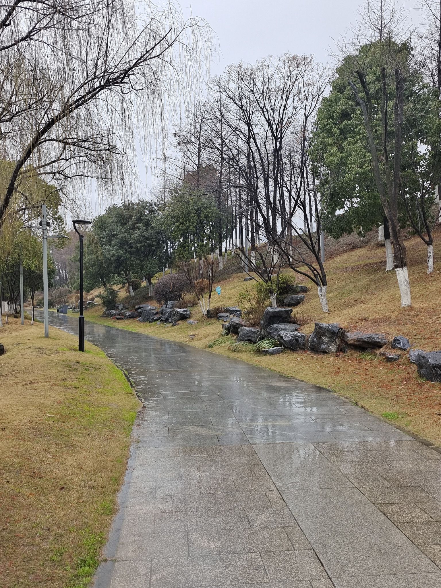丹溪公园旅行图片 2