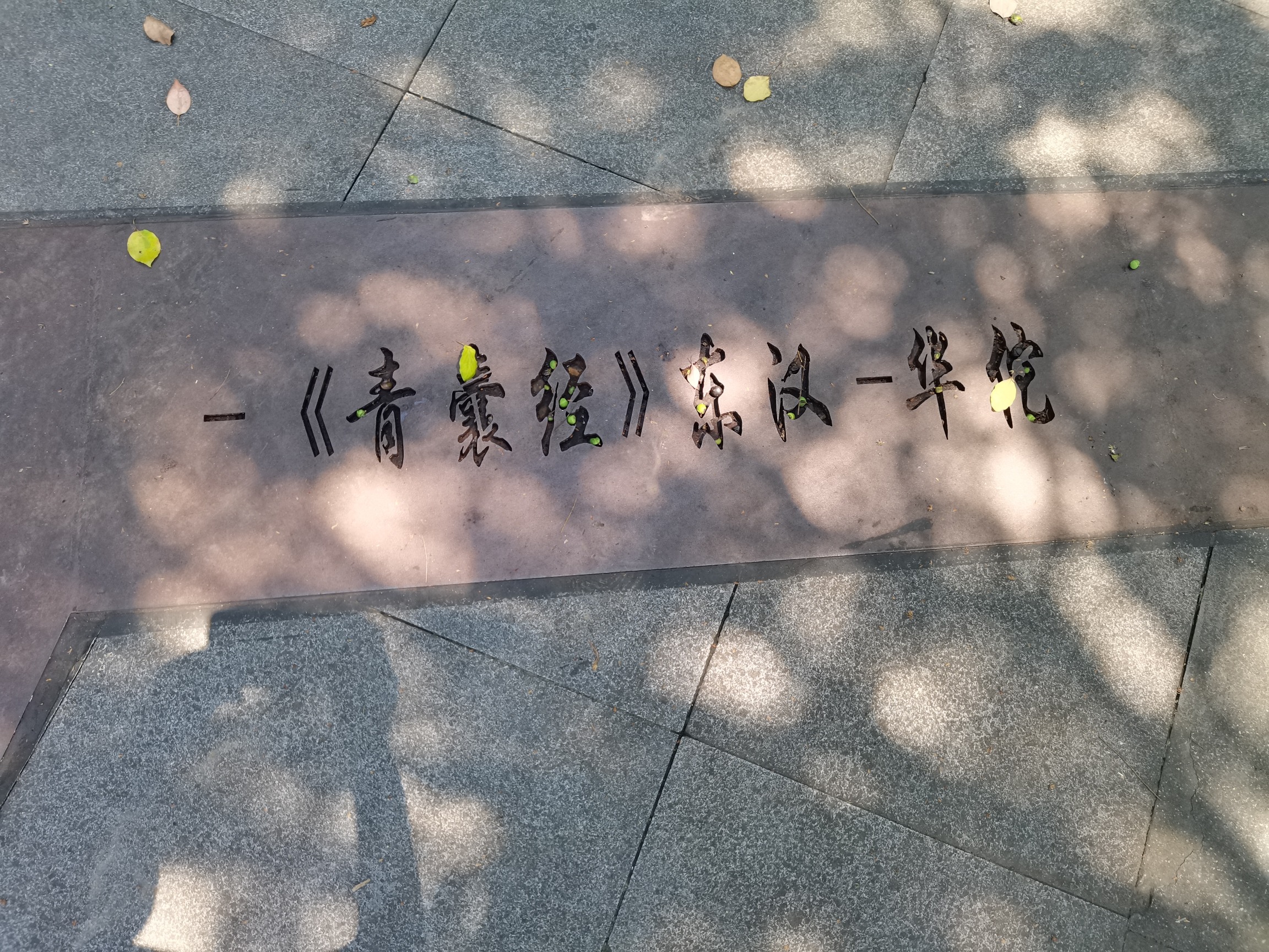 丹溪公园旅行图片 3