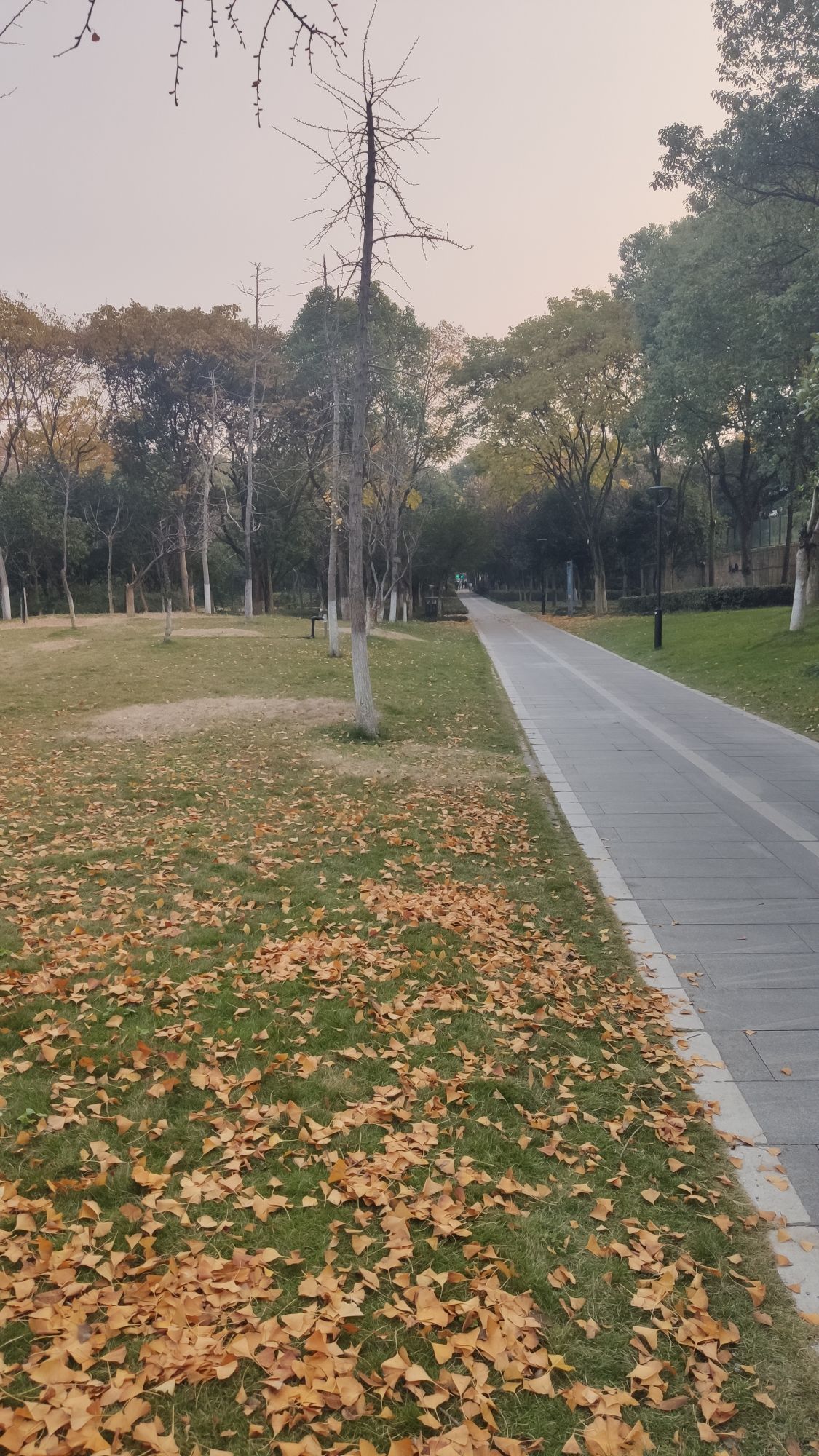 丹溪公园旅行图片 2