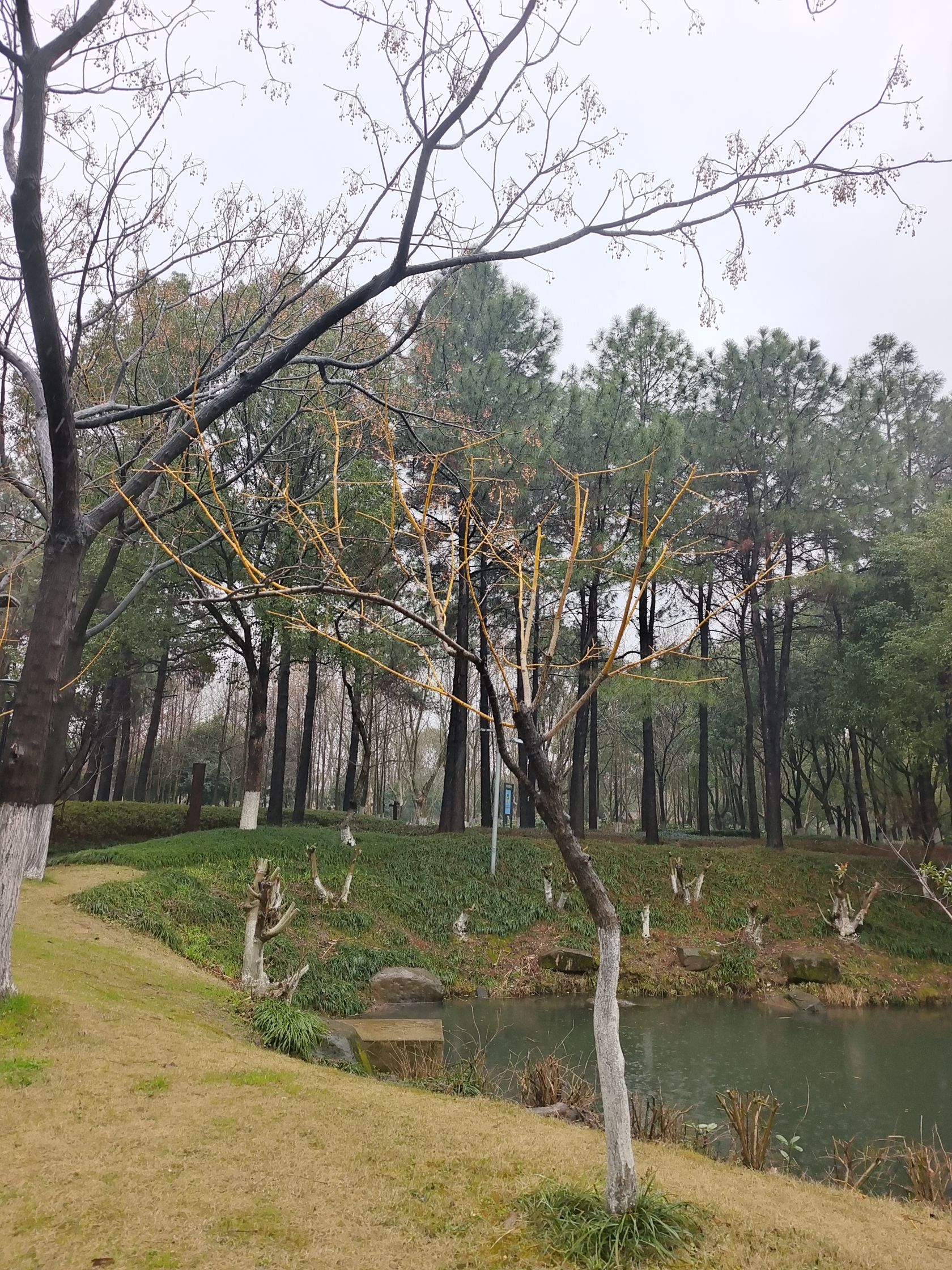 丹溪公园旅行图片 1