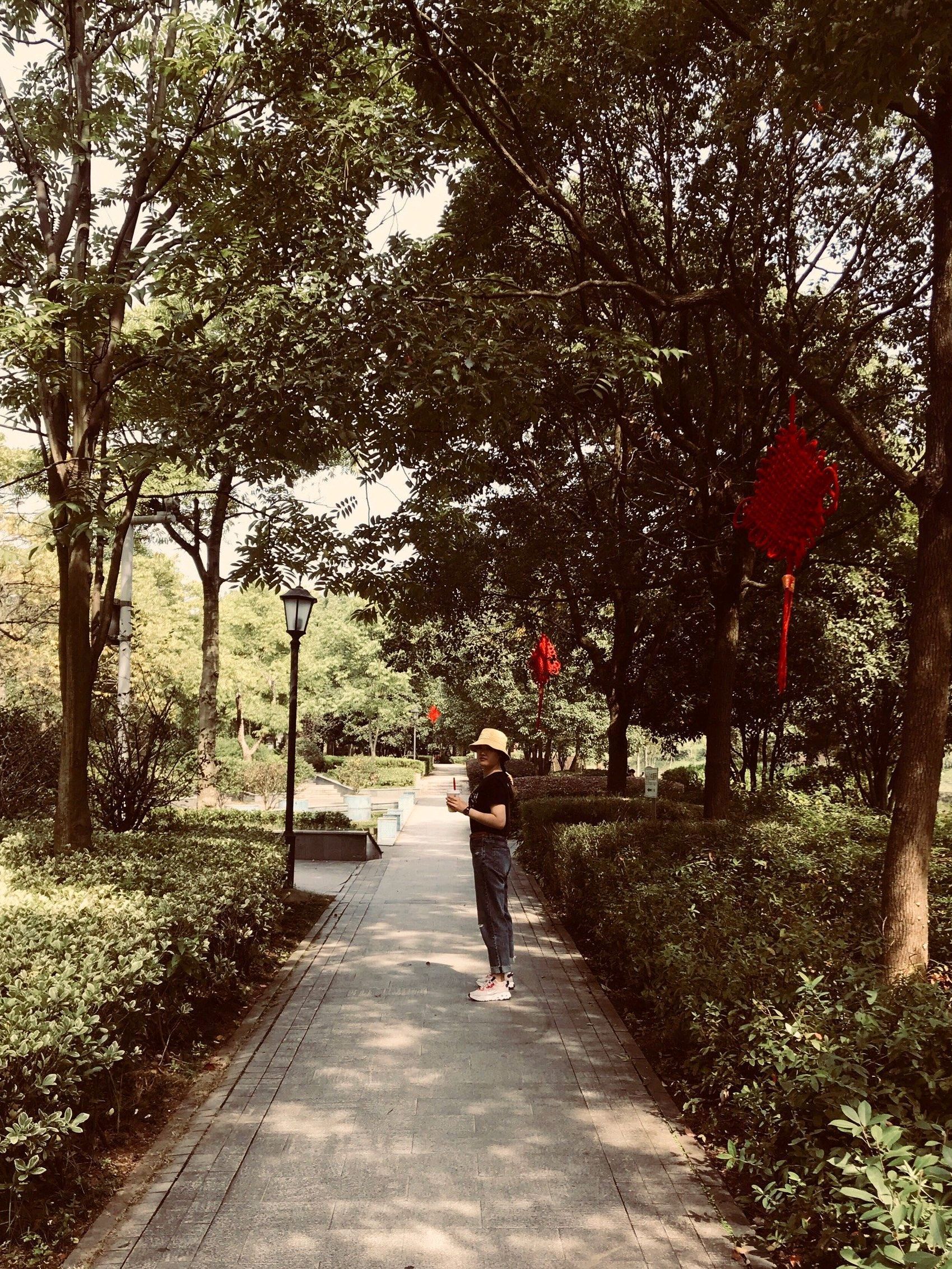 孝顺公园旅行图片 1