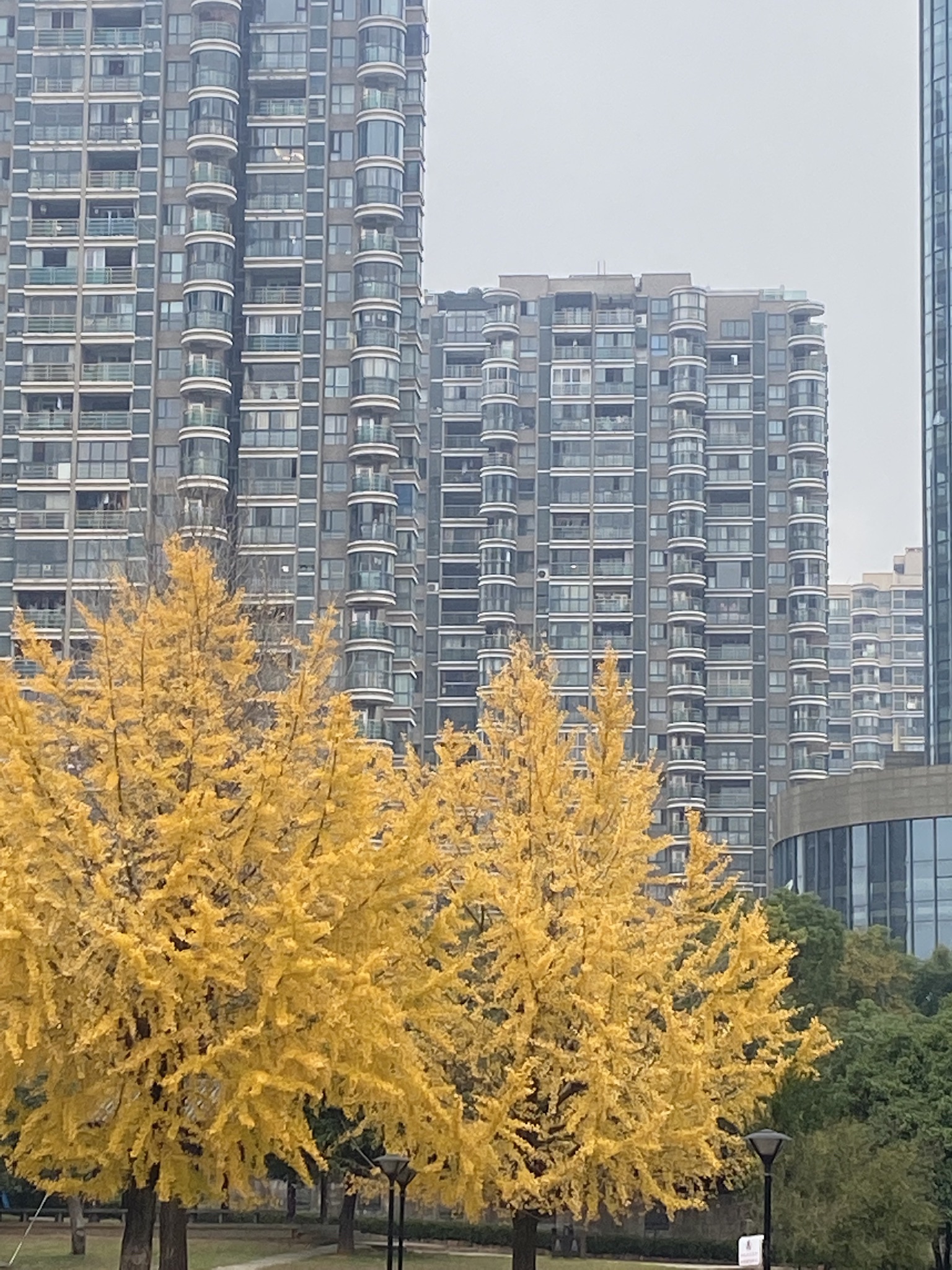 和平公园旅行图片 2