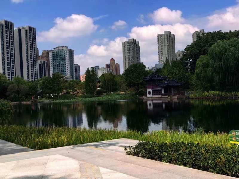 和平公园旅行图片 3