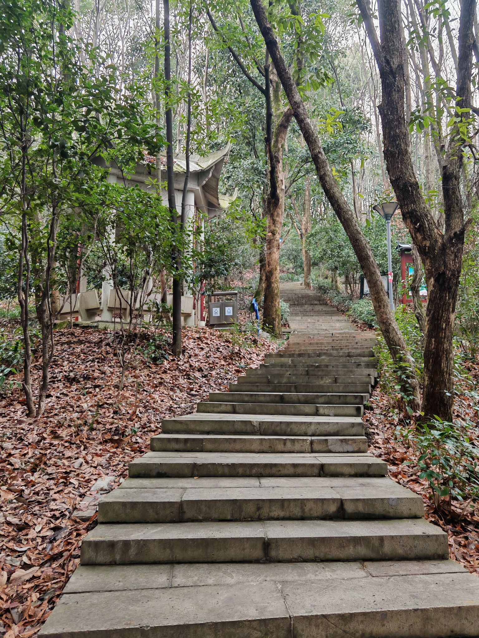 金胜山健康主题公园旅行图片 3