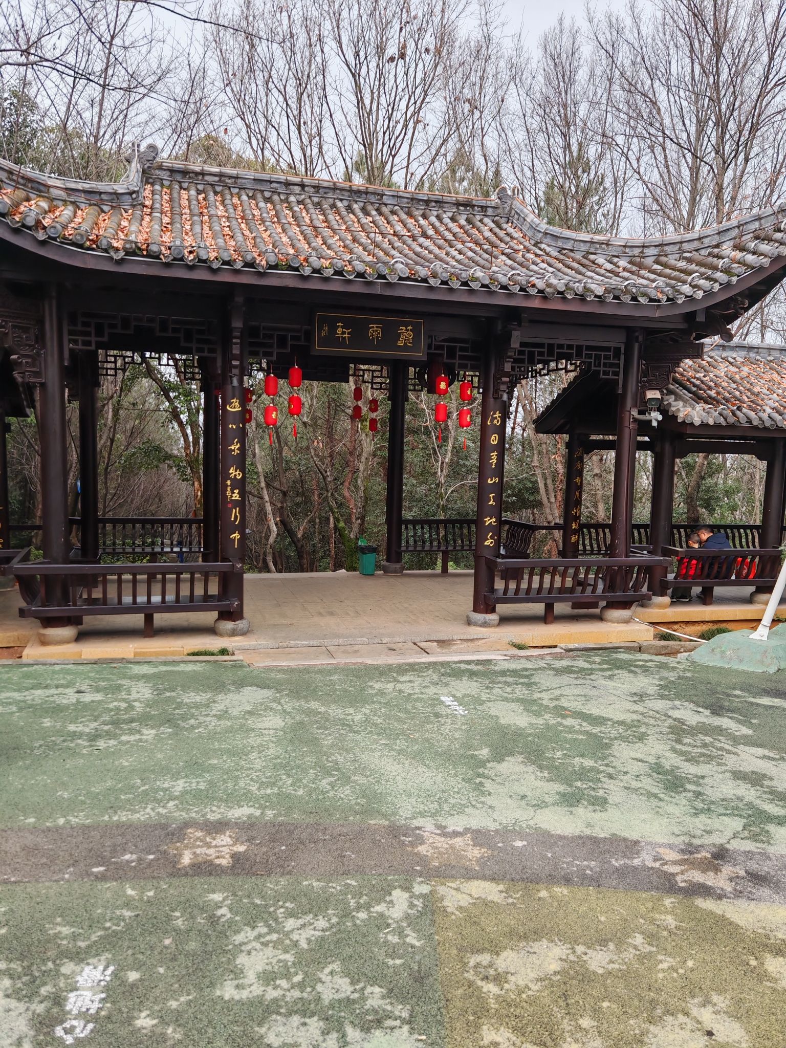 金胜山健康主题公园旅行图片 1