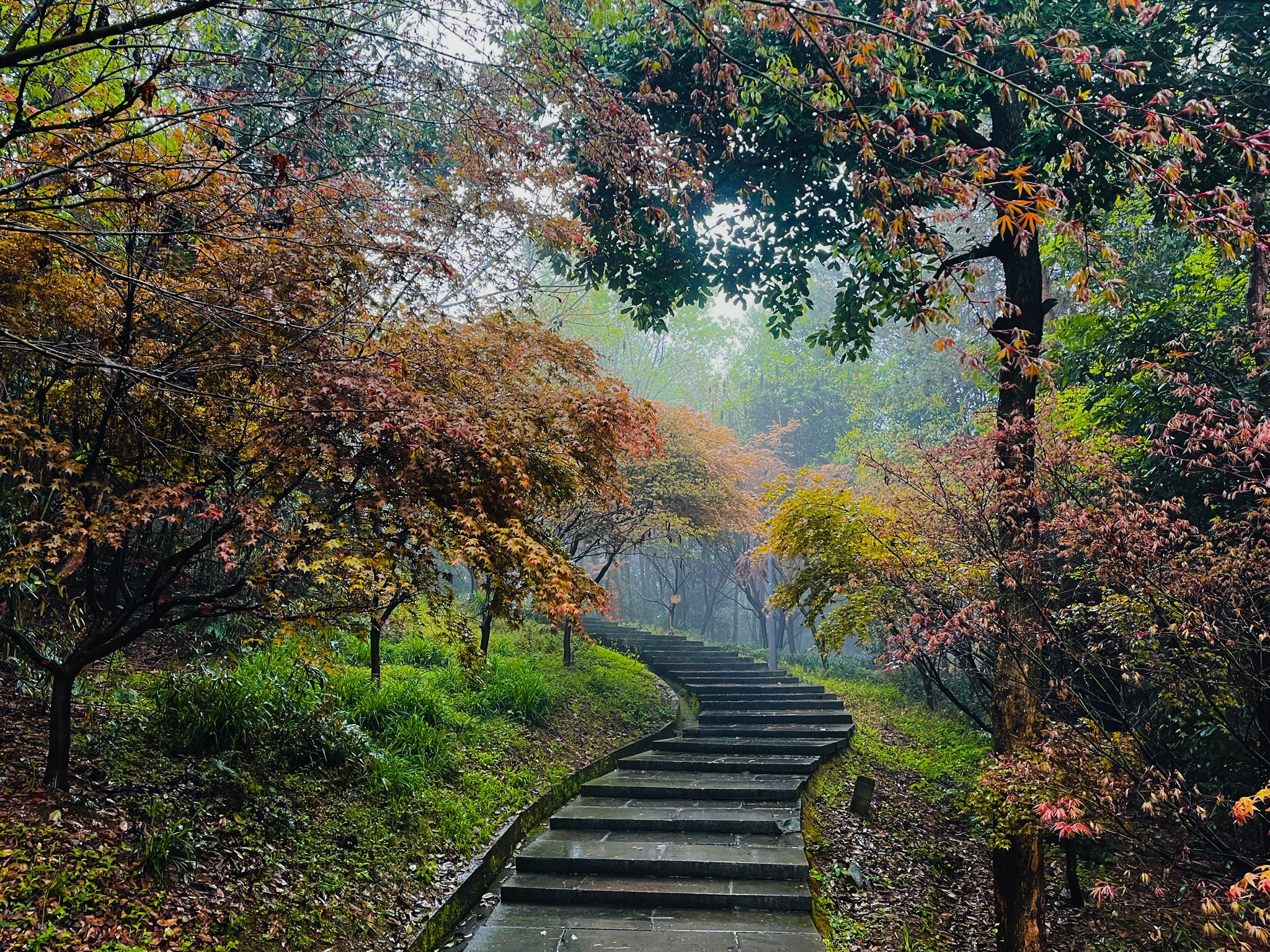 金胜山健康主题公园旅行图片 2