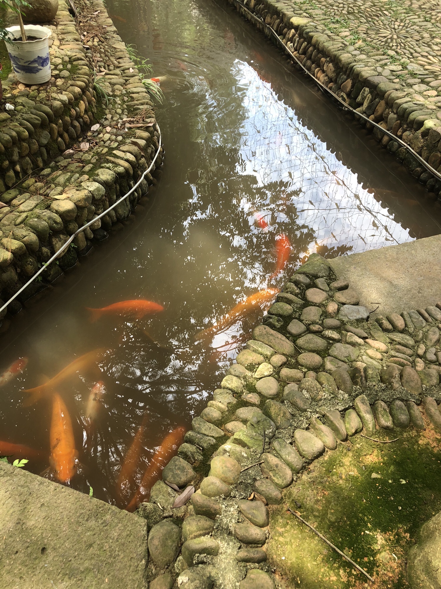 寺平古村落旅行图片 1