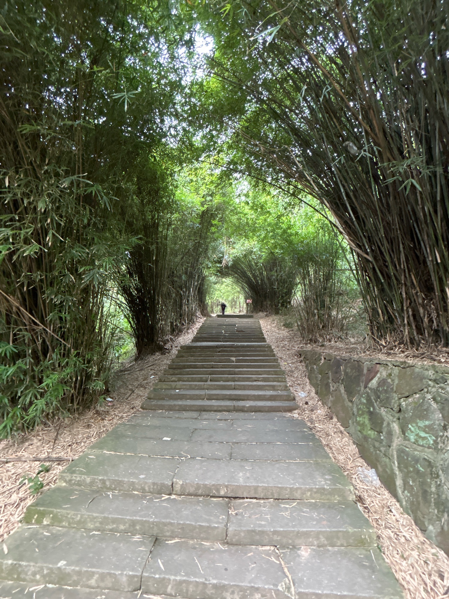 西山公园旅行图片 3