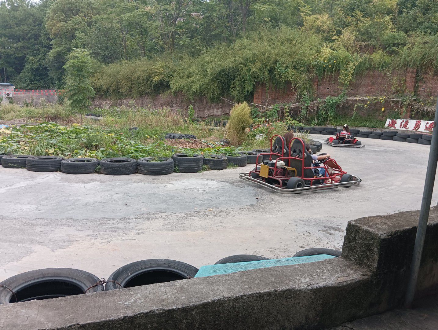 西山公园旅行图片 3