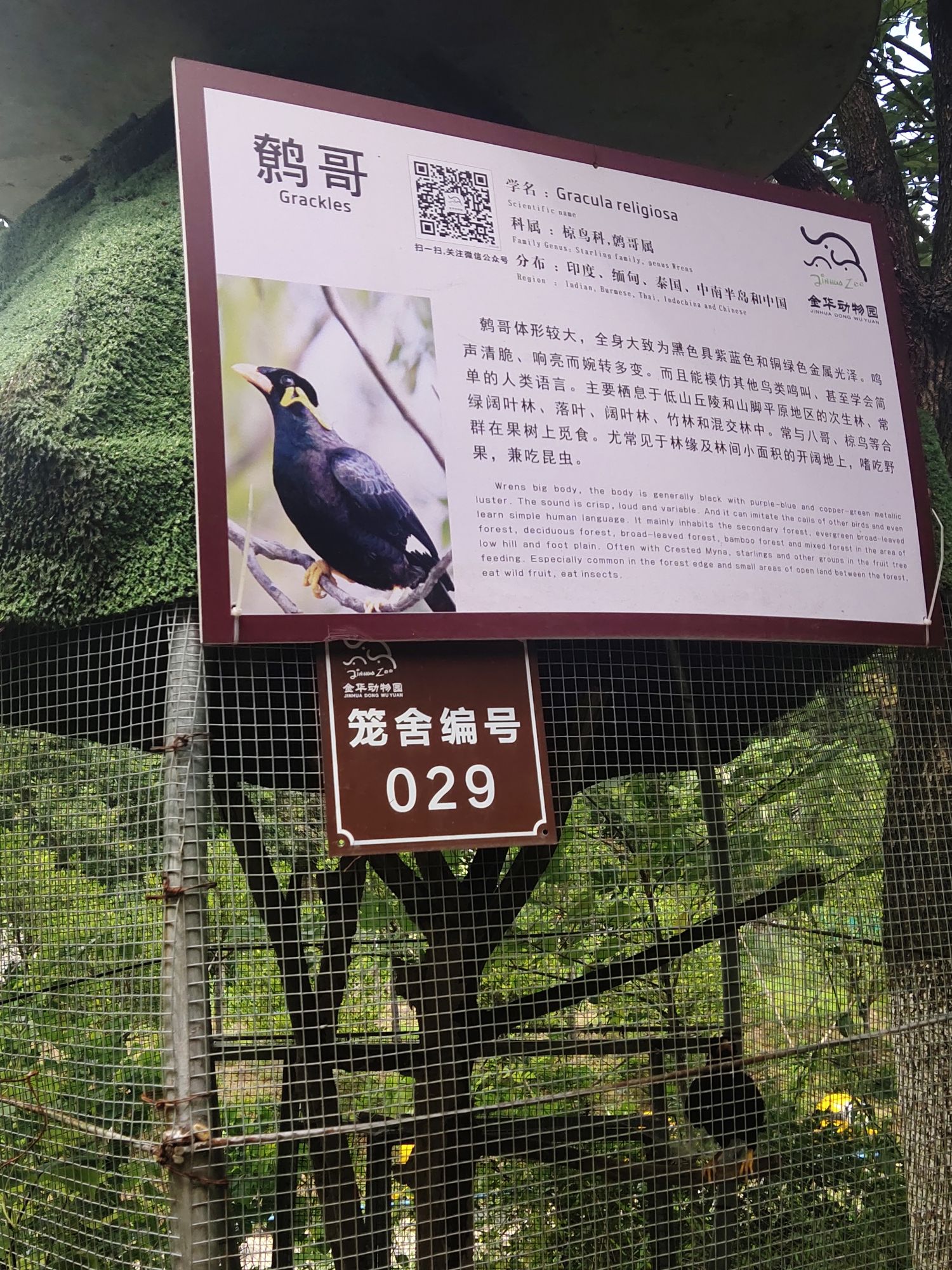 金华动物园旅行图片 3