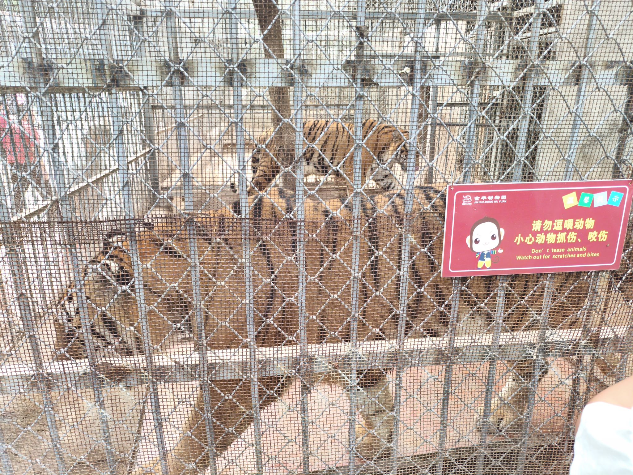 金华动物园旅行图片 3