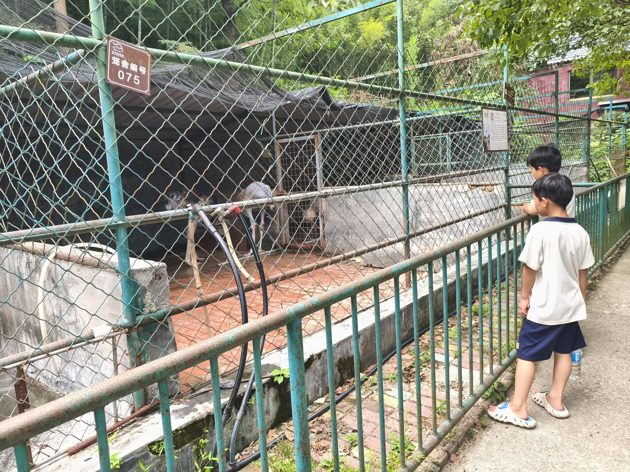金华动物园旅行图片 2