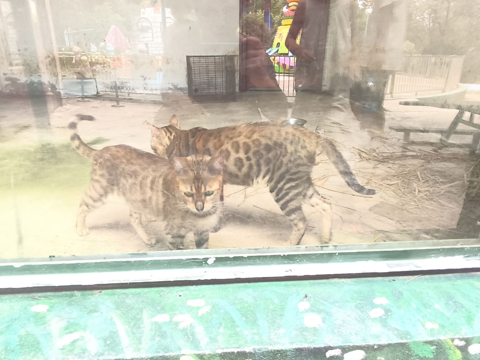金华动物园旅行图片 1