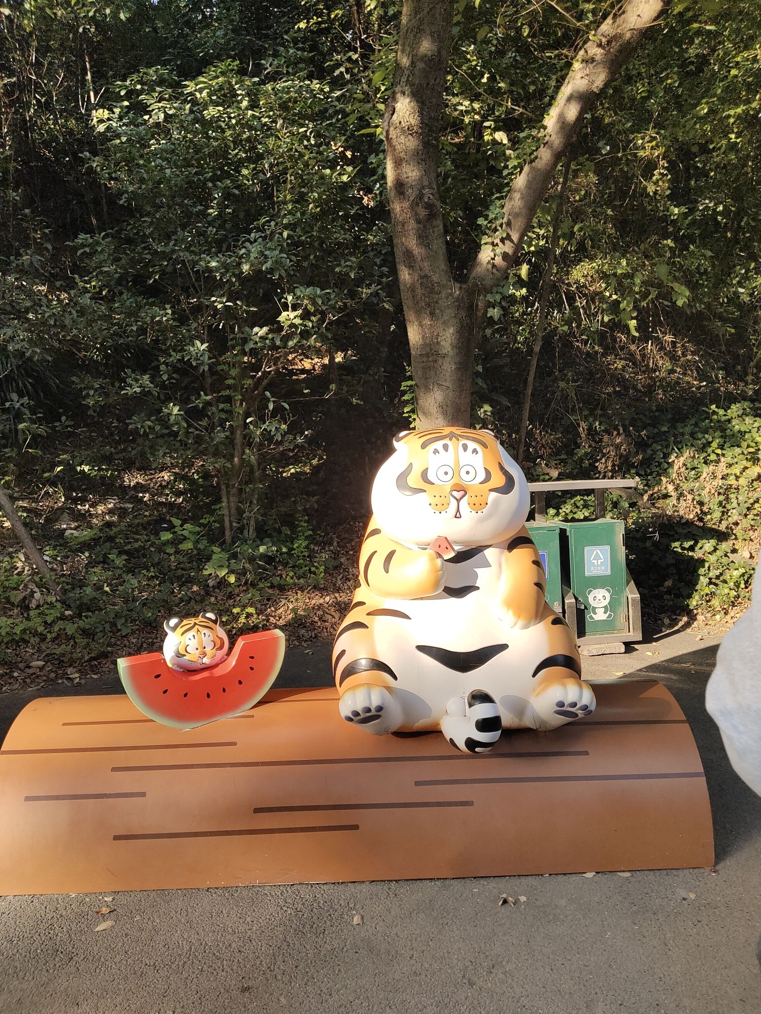 金华动物园旅行图片 1