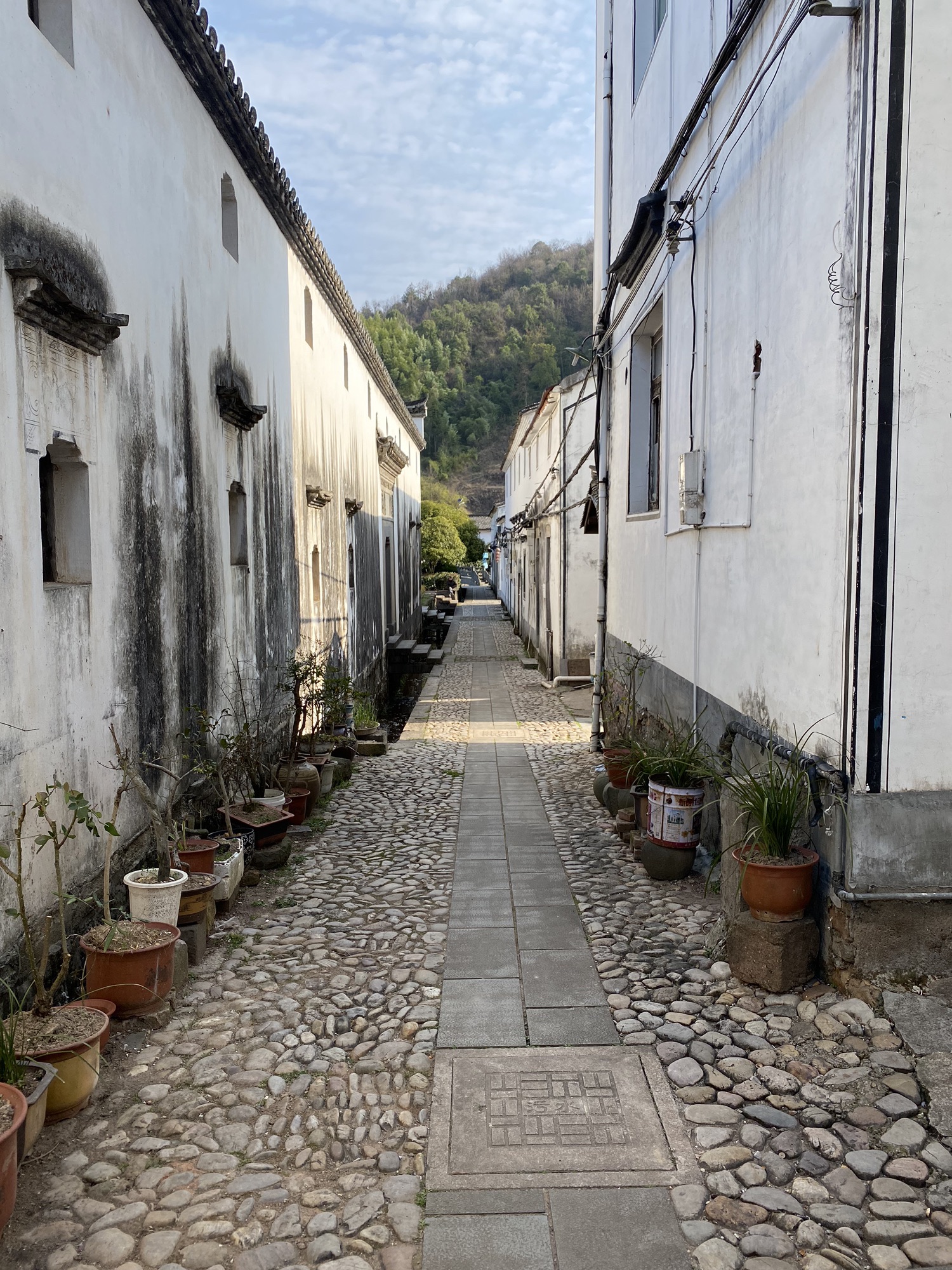 黄山八面厅旅行图片 3