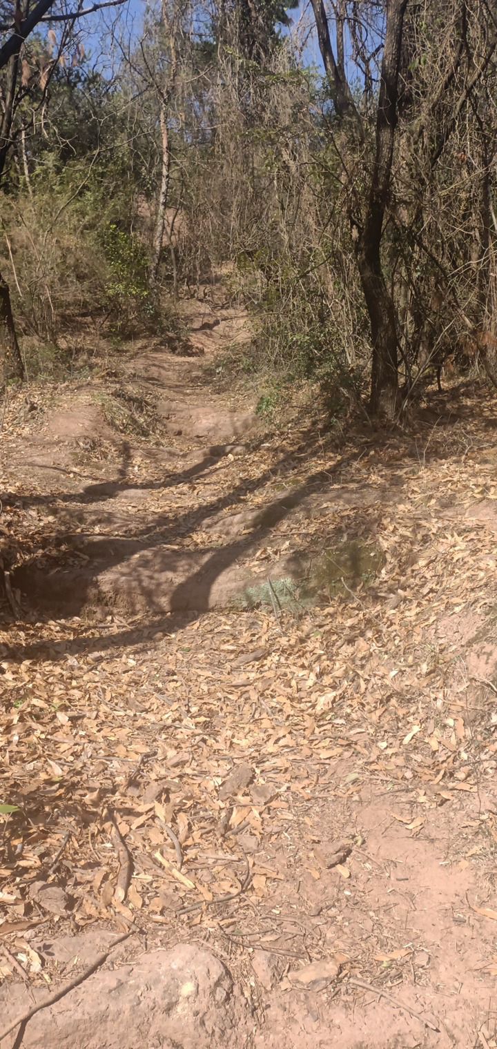 狮山公园旅行图片 3