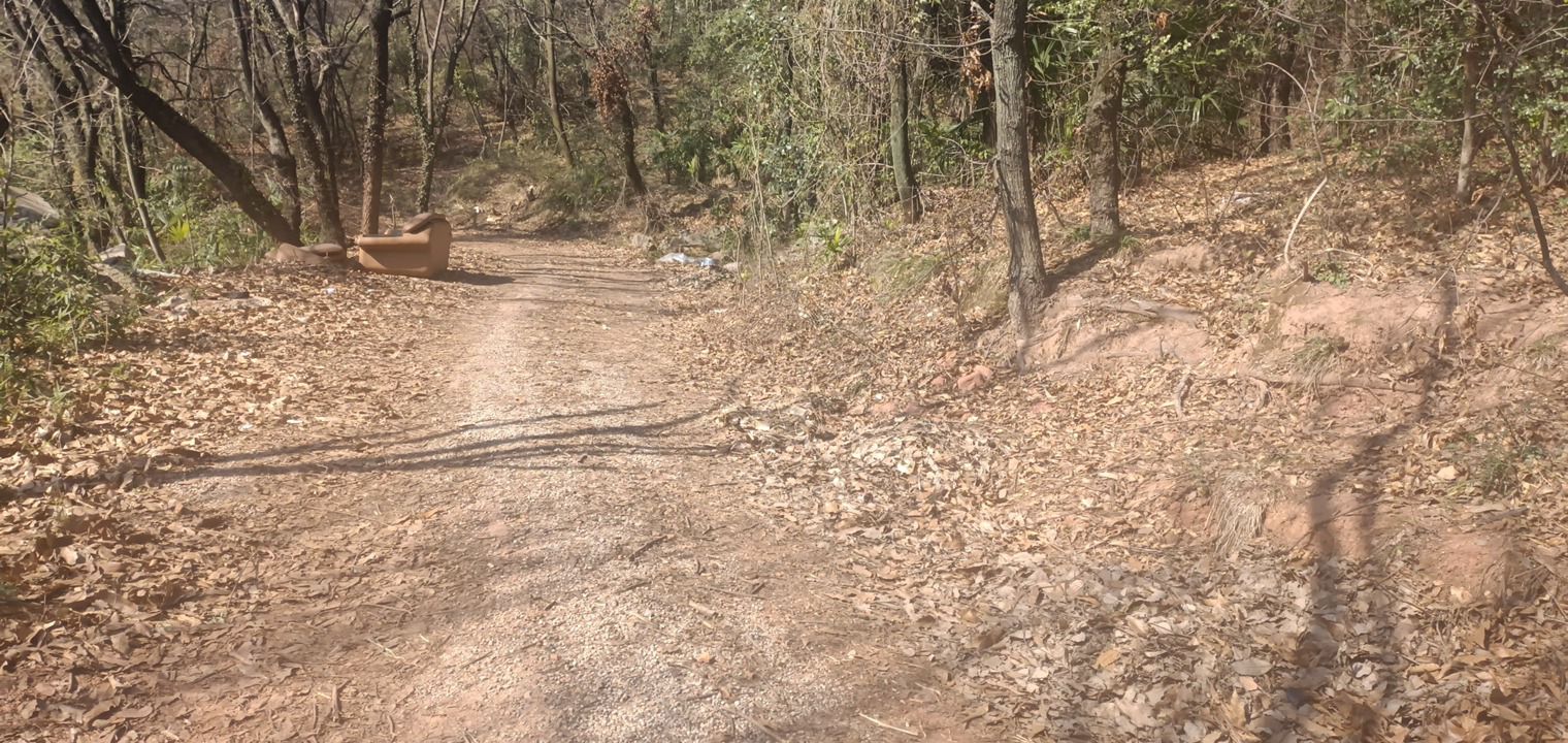 狮山公园旅行图片 1