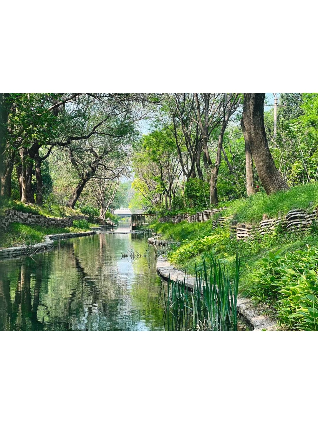 狮山公园旅行图片 1