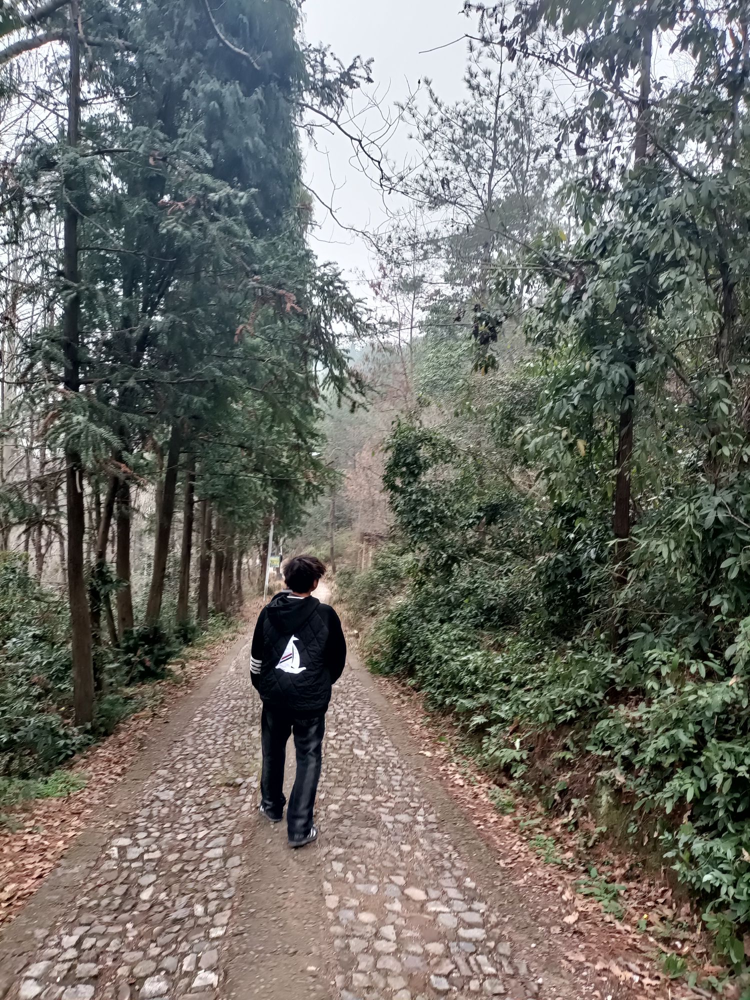 西岘峰旅行图片 2