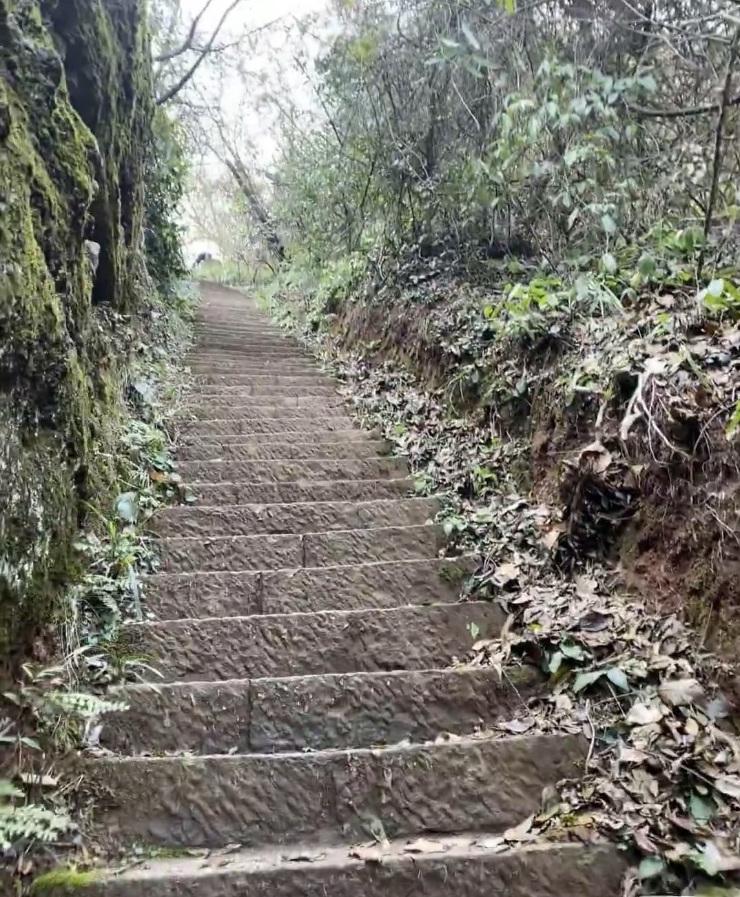 九峰山风景区旅行图片 1