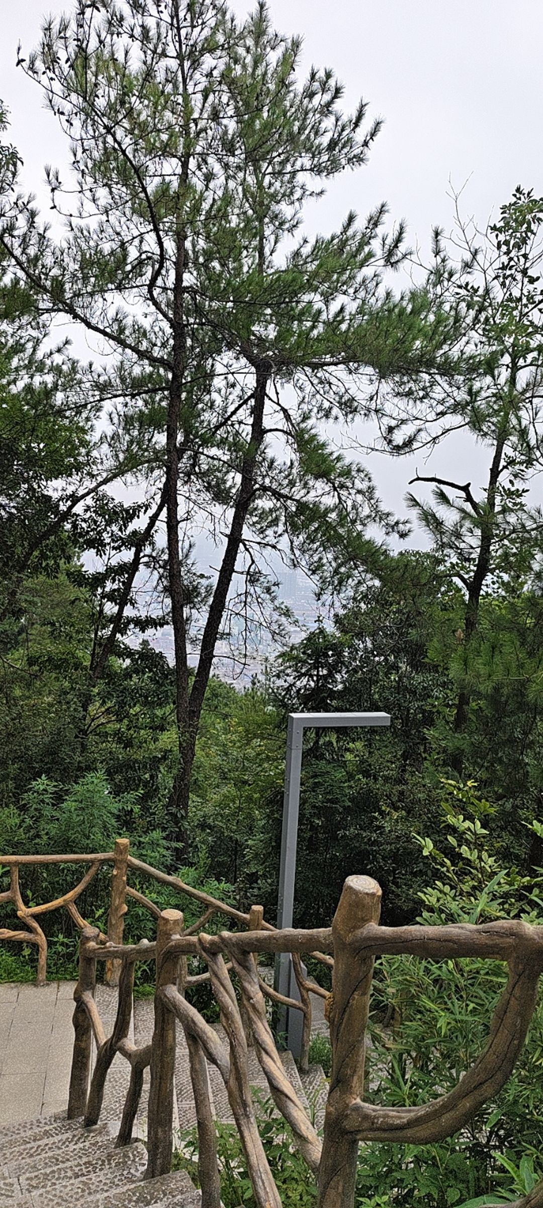 东岘峰公园旅行图片 2
