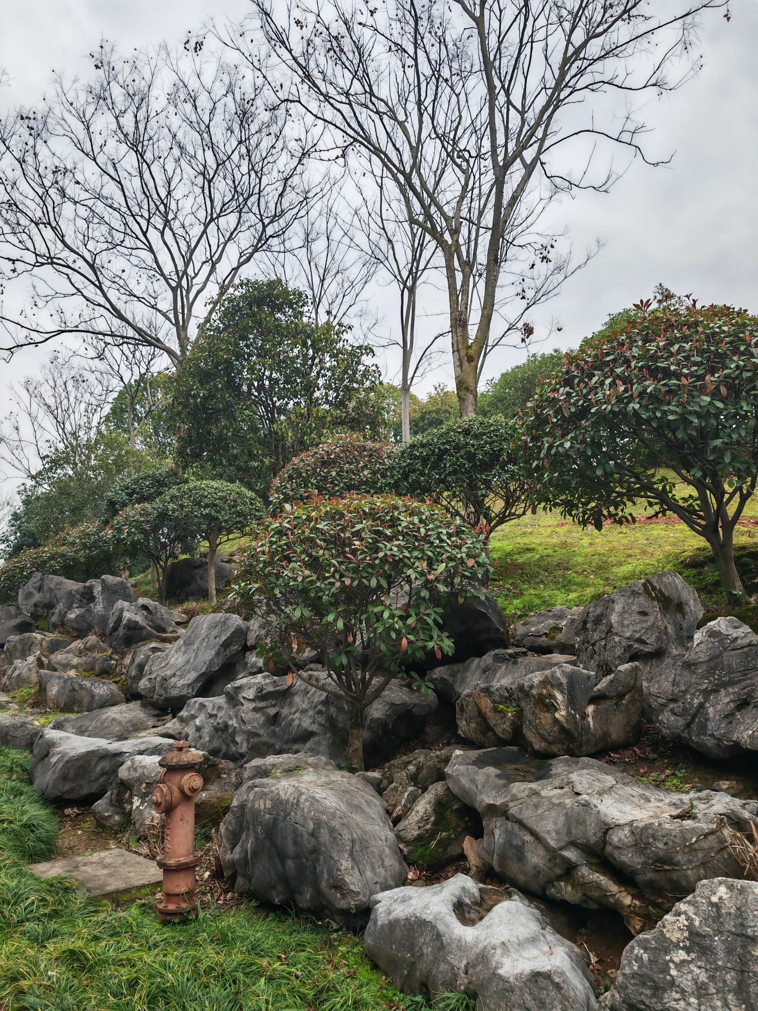 城北景观公园