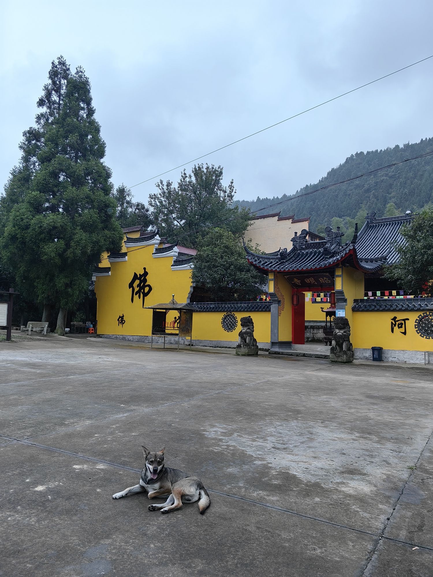大盘山风景区旅行图片 1