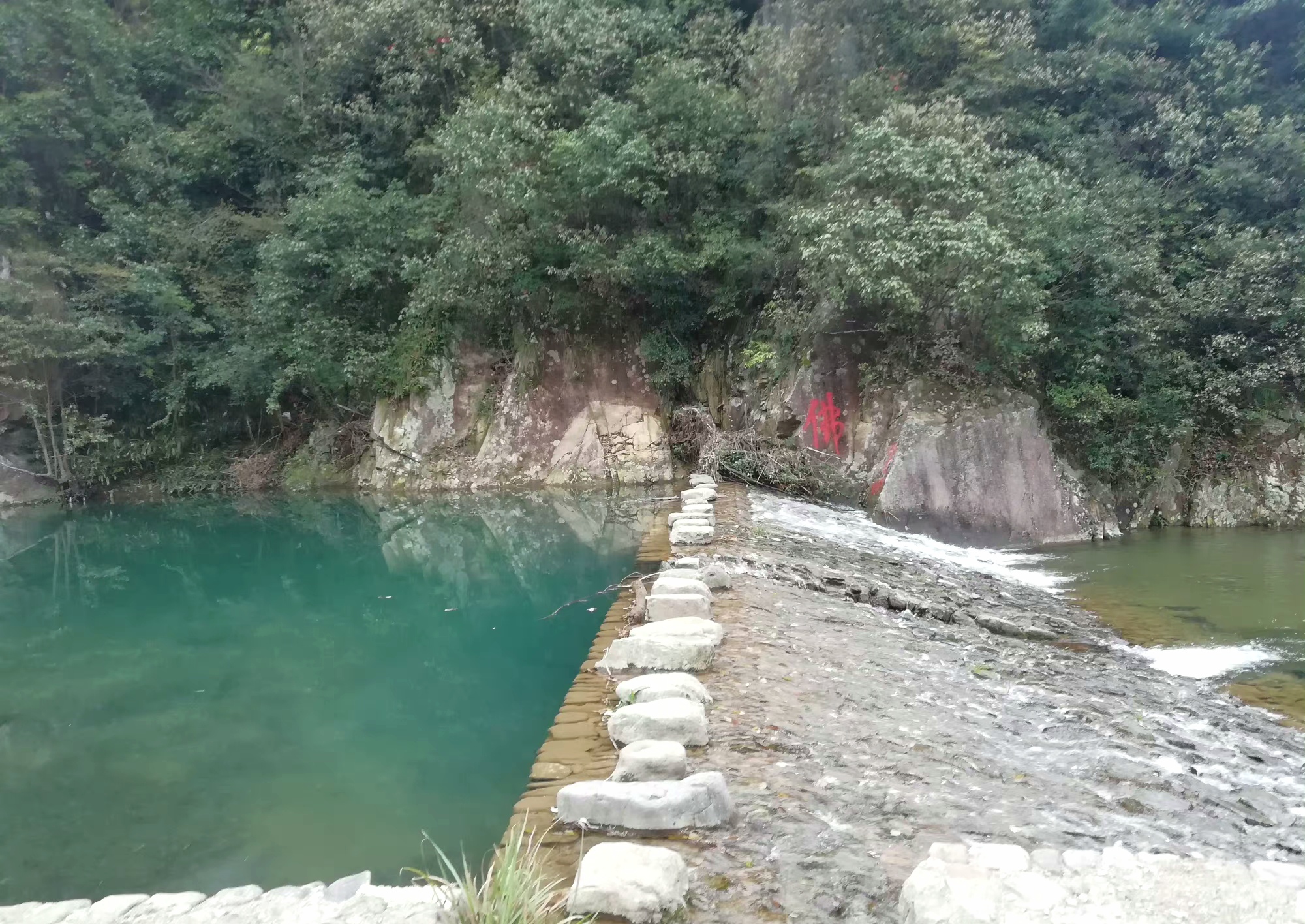水竹湾森林公园旅行图片 2