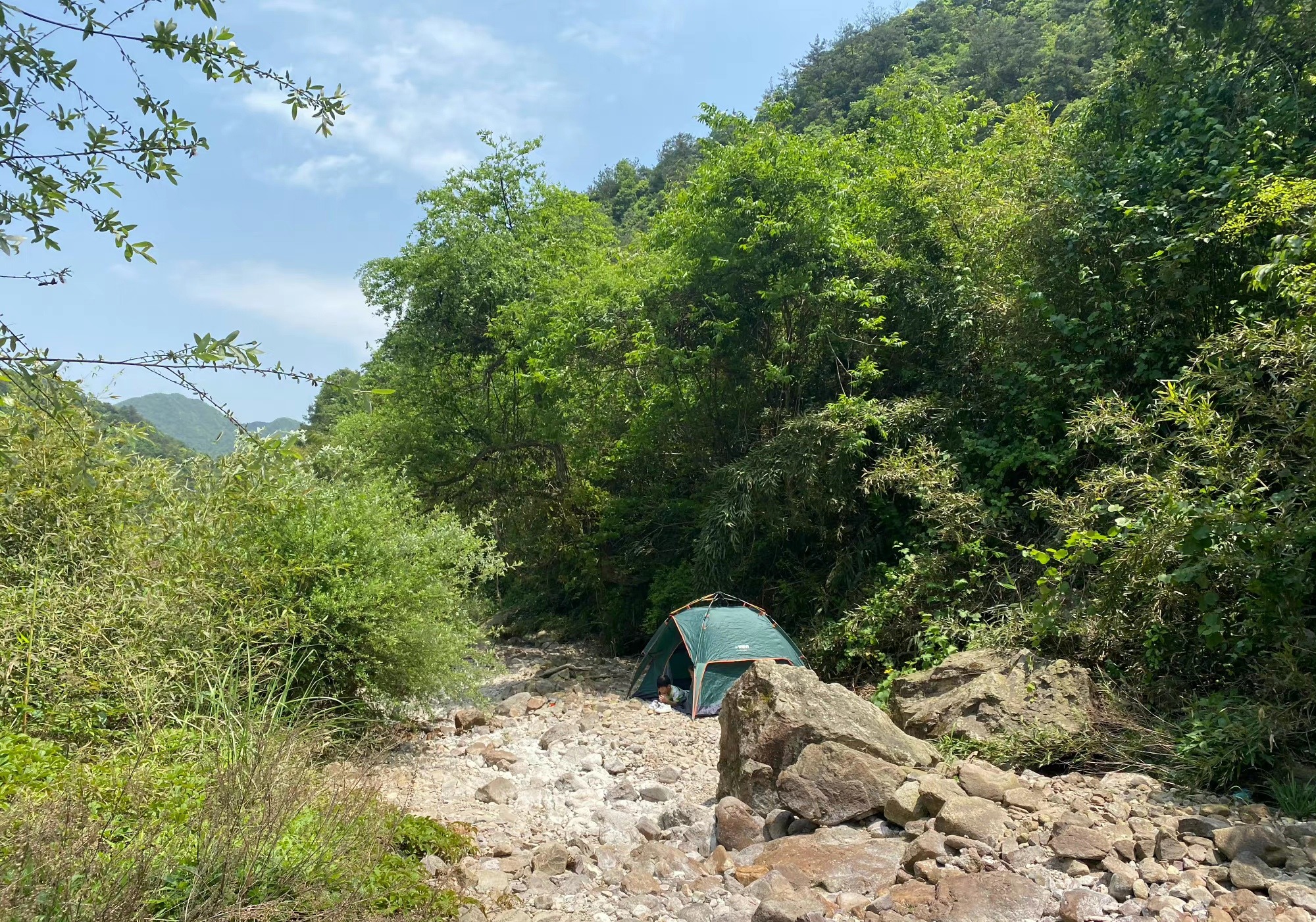 水竹湾森林公园旅行图片 1