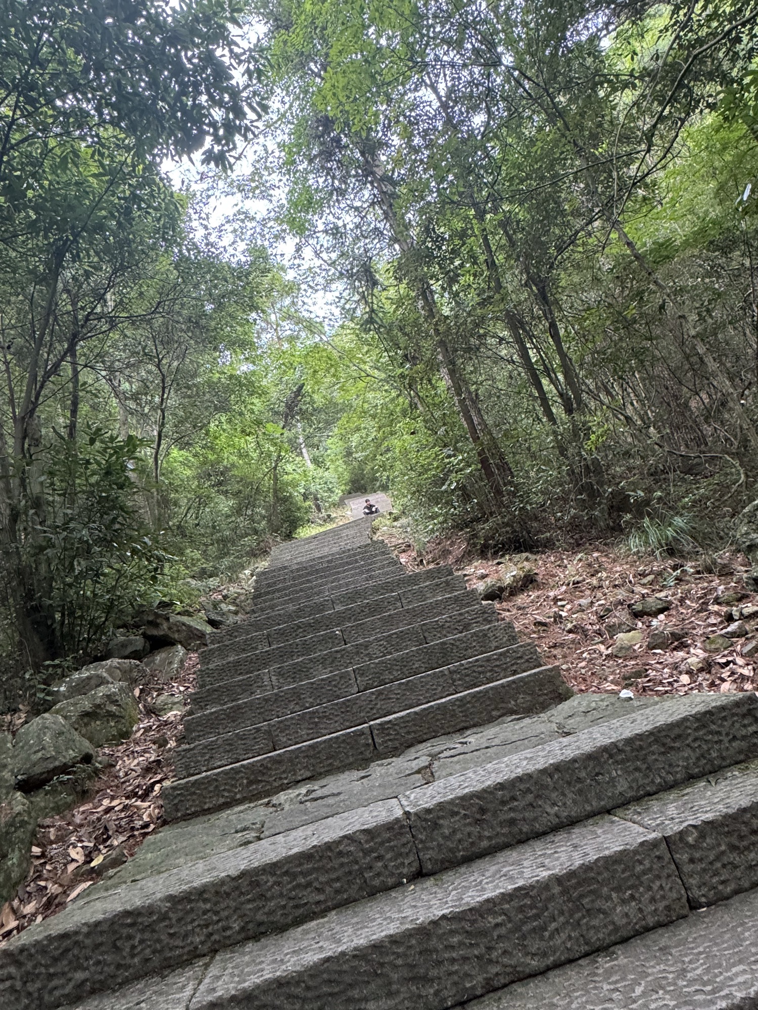 华溪森林公园旅行图片 3