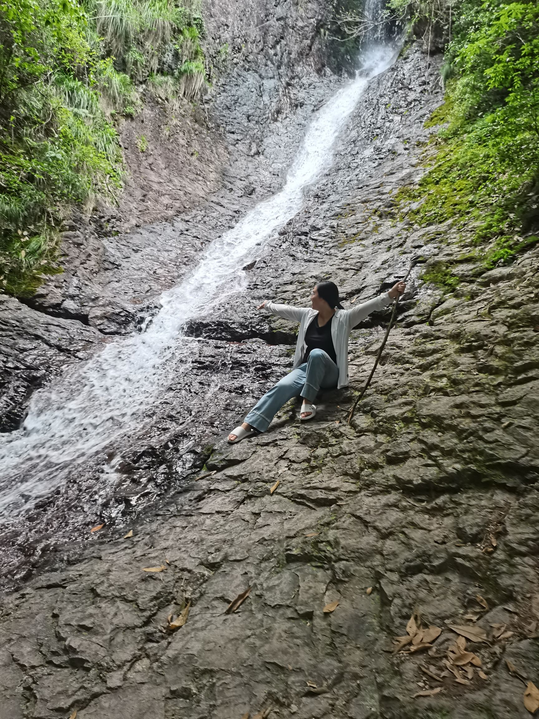 华溪森林公园旅行图片 1