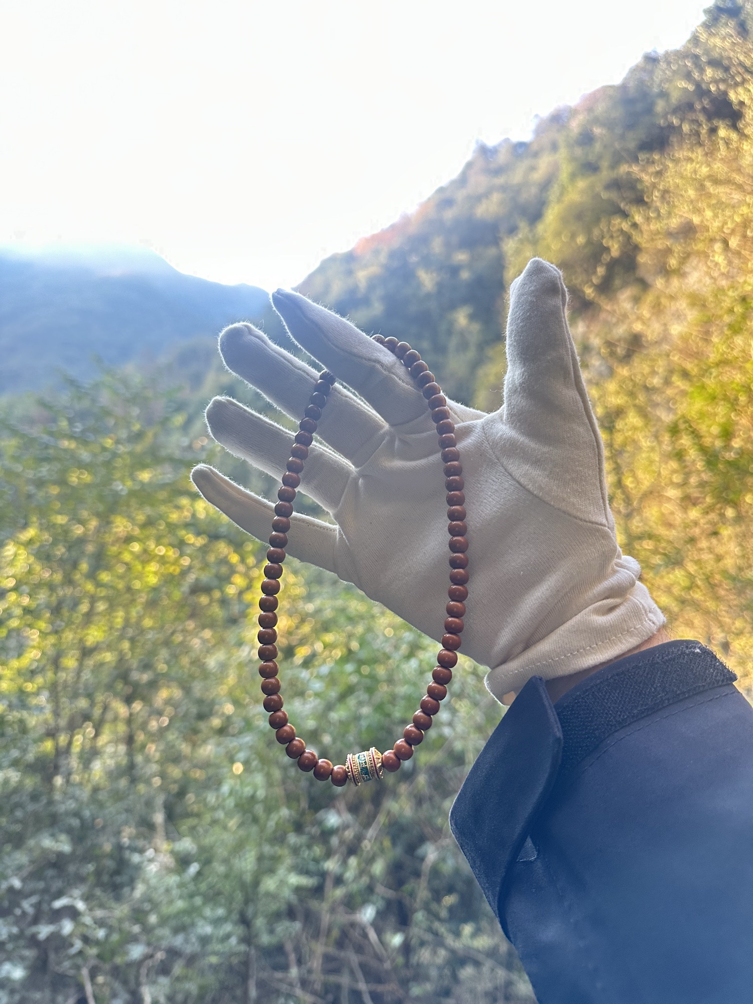 华溪森林公园旅行图片 1