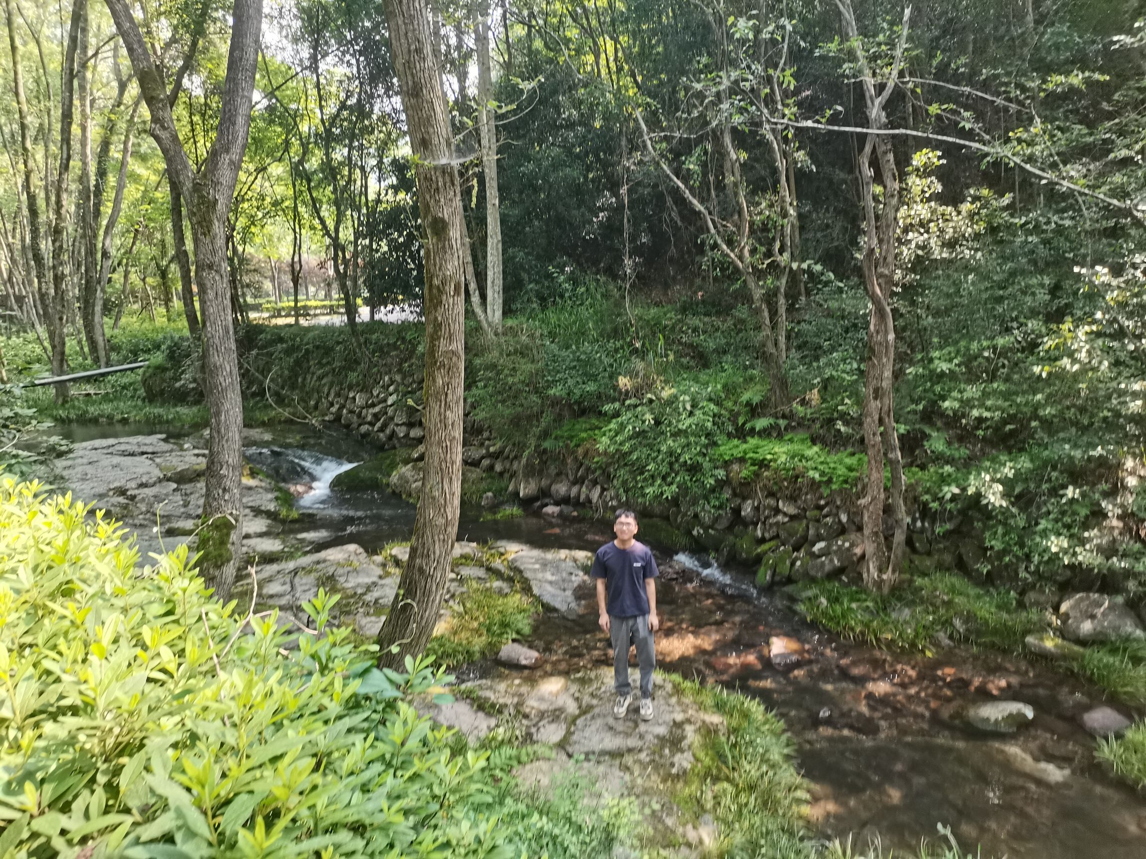 华溪森林公园旅行图片 3